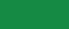 Solo Goya Triton Acrylic- 750ml- Permanent Green- (17006)- 52500847
