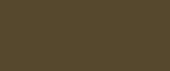 Solo Goya Triton Acrylic- 750ml- Green Umber- (17008)- 52501320