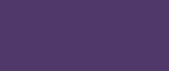 Solo Goya Triton Acrylic-750ml- Violet-(17011)- 52501323