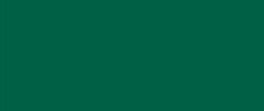 Solo Goya Triton Acrylic- 750ml- Dark Green- (17013)- 52501777