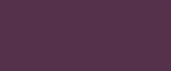 Solo Goya Triton Acrylic- 750ml- Aubergine-(17020)- 52500847