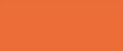 Solo Goya Triton Acrylic-750ml- Apricot- (17023)- 52500847