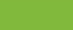 Solo Goya- Acrylic Paint-100ml Tube- Yellowish Green- 52501334