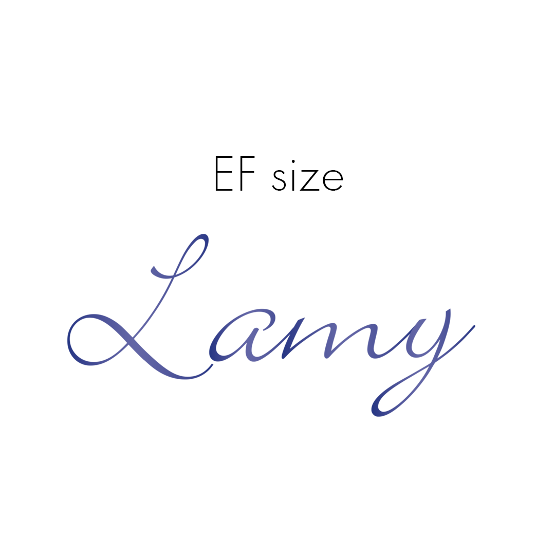 Lamy Z50 Nib size EF in steel - 19060140