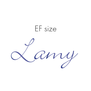 Lamy Z50 Nib size EF in steel - 19060140