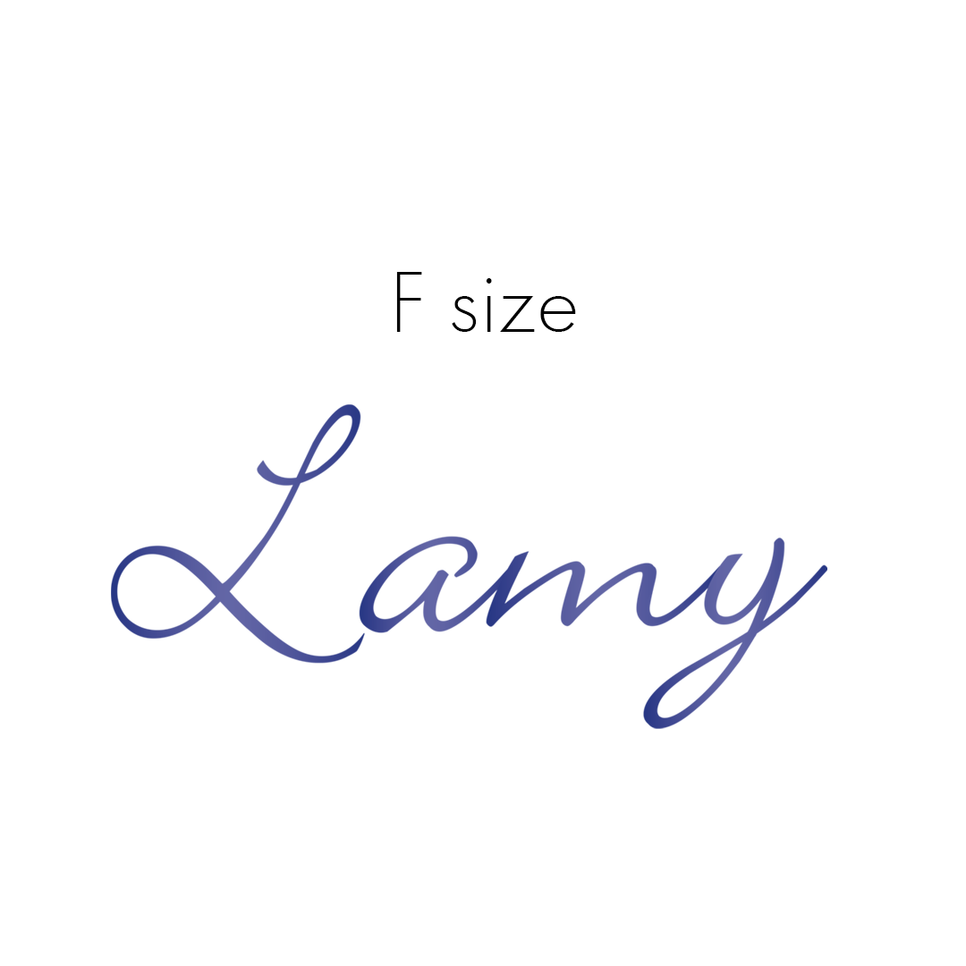 Lamy Z50 Nib size F in steel - 19060141