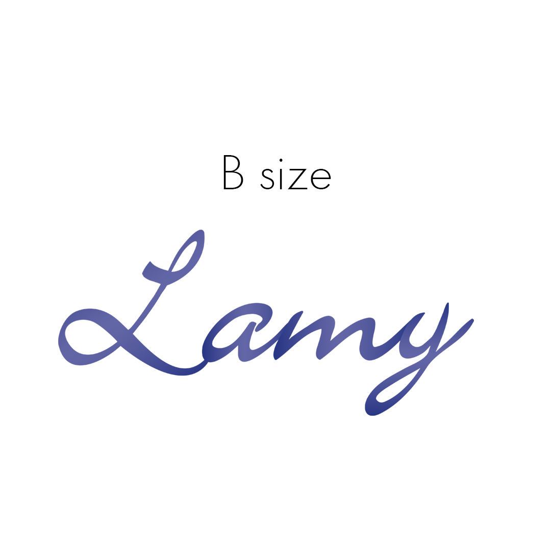 Lamy Z50 Nib size B in steel - 19060139