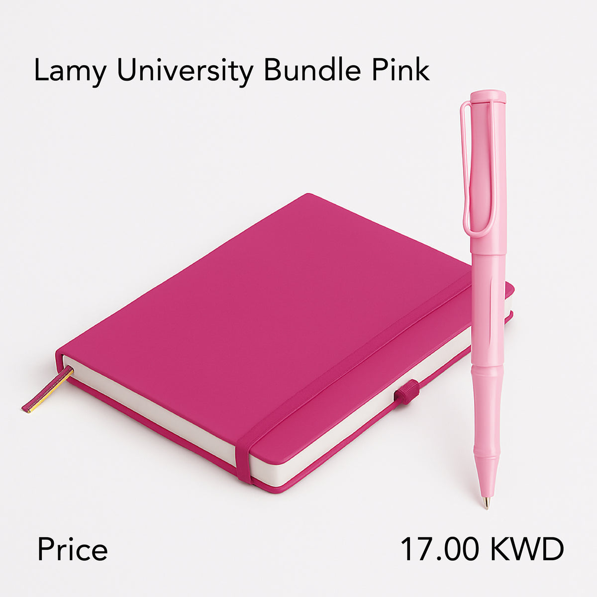Lamy University Bundle | Pink-19060169
