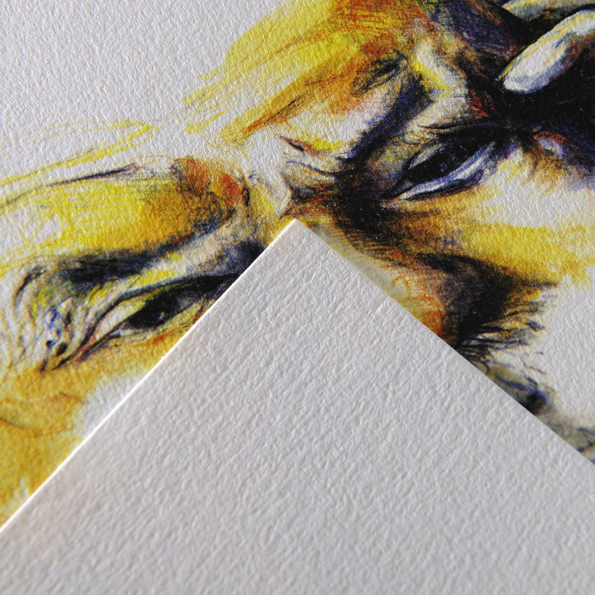 Canson, &quot;C&quot; a grain, 30sheet, A4 Size, White, Spiral- 07021536