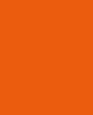 Solo Goya Acrylic 250ml - Deep Orange - 52500864